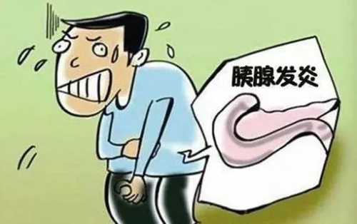 胰腺炎吃燕窝吗1.webp.jpg