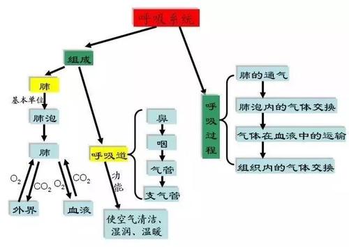 从中西医两个方面分析燕窝的抗病毒作用