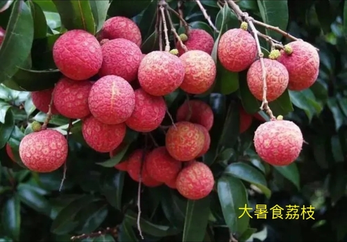 博士谈燕窝4.webp.jpg