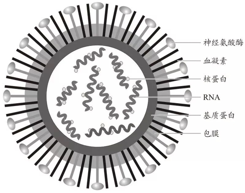 博士谈燕窝5.webp.jpg
